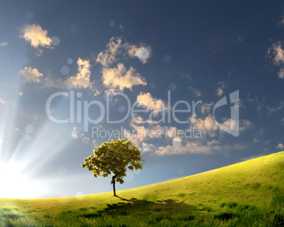 nature landscape with clouds