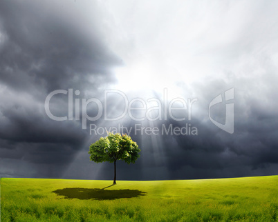 nature landscape with clouds