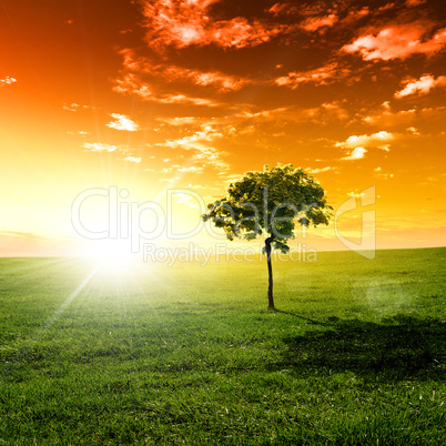 nature landscape with clouds