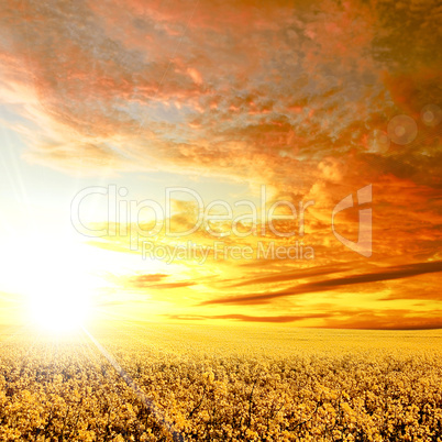 nature landscape with clouds