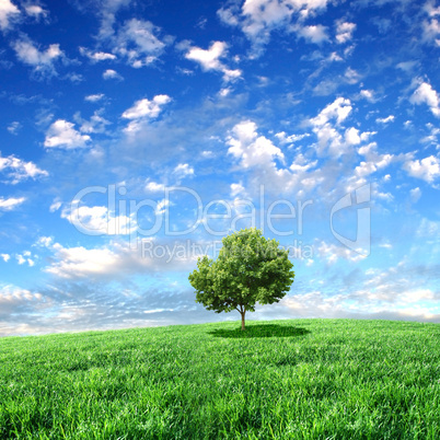 nature landscape with clouds