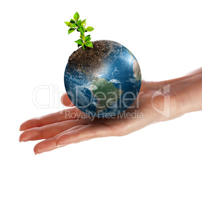 Hands and Earth.