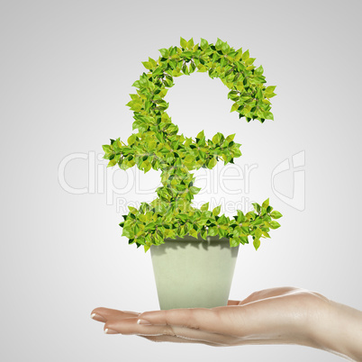 Hand holding green plant currency symbol