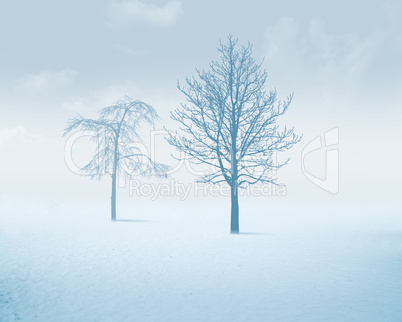 White snow tree