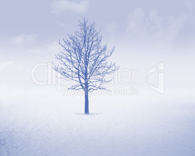 White snow tree