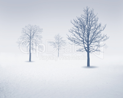 White snow tree