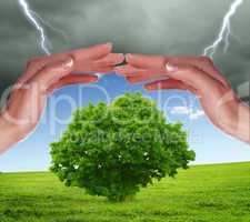 human hands protecting tree