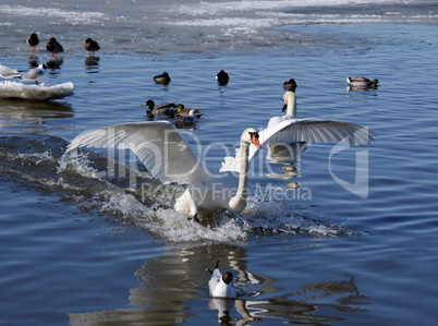 Landing