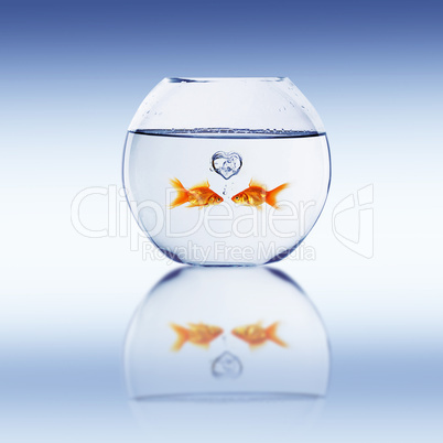 Goldfish swim