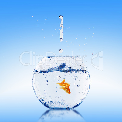 Goldfish jump