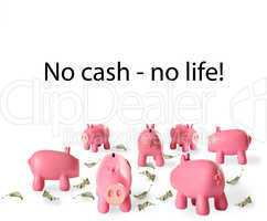 piggy bank and cash leaves