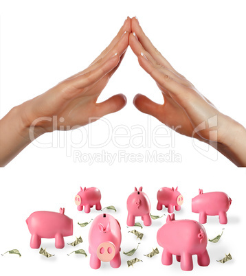 arms and piggy bank