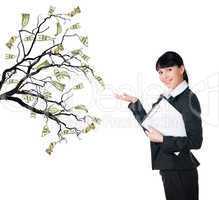 Money Tree