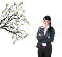 Money Tree