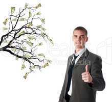 Money Tree