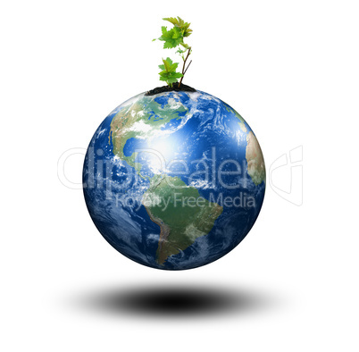 sprout and our planet