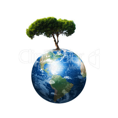 Earth and the tree