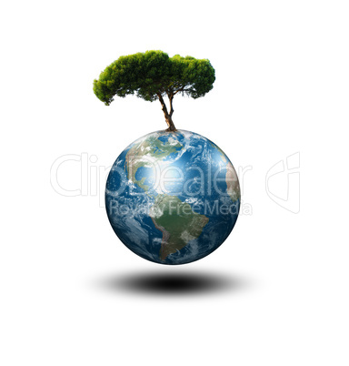 Earth and the tree