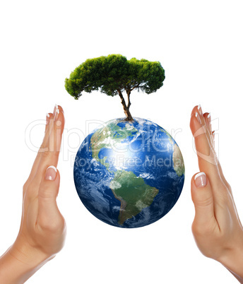 Hands,  Earth and the tree