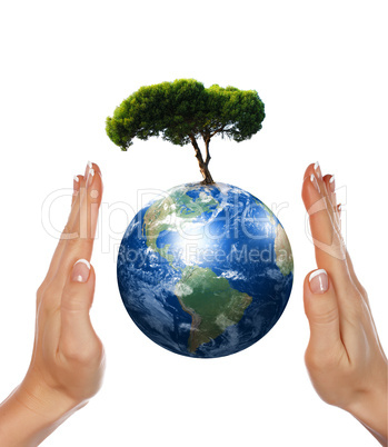 Hands,  Earth and the tree