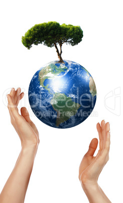 Hands,  Earth and the tree