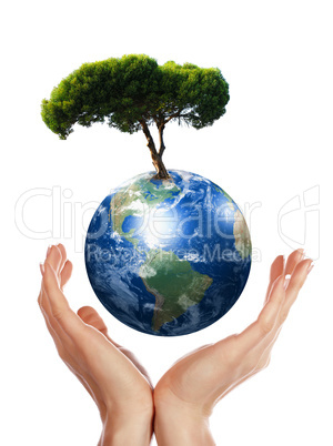 Hands,  Earth and the tree