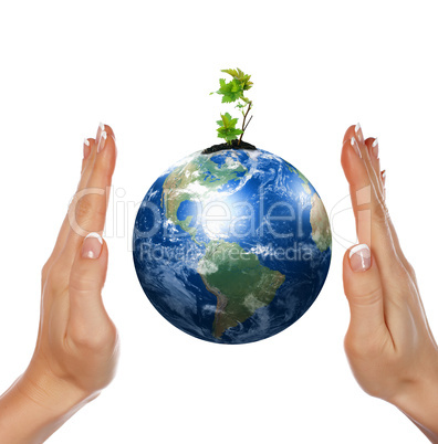 hands, the sprout and  Earth