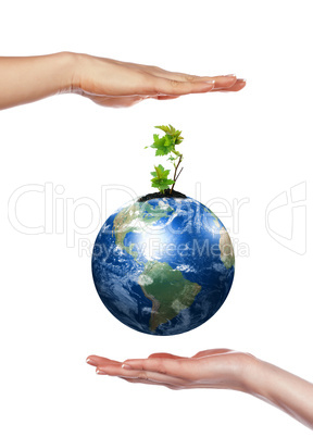 hands, the sprout and  Earth