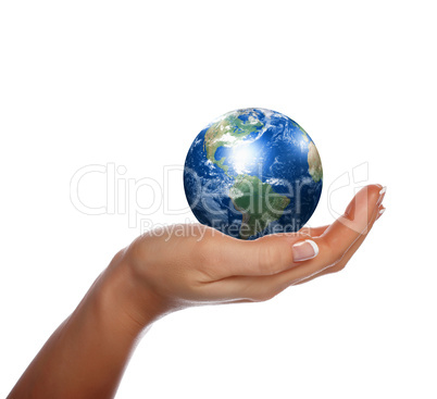 hands, the sprout and  Earth