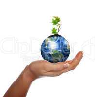 hands, the sprout and  Earth