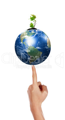 hands, the sprout and  Earth