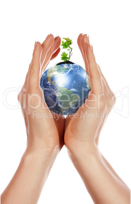 hands, the sprout and  Earth