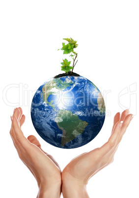 hands, the sprout and  Earth