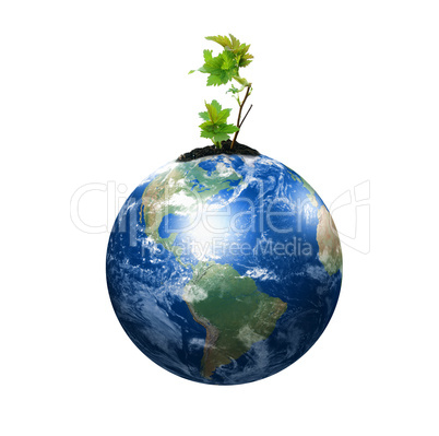 hands, the sprout and  Earth