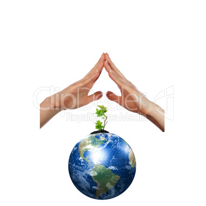 hands, the sprout and  Earth