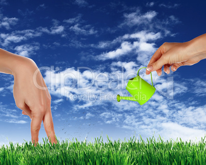 Human hand watering green grass