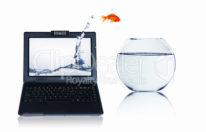 Goldfish and laptop