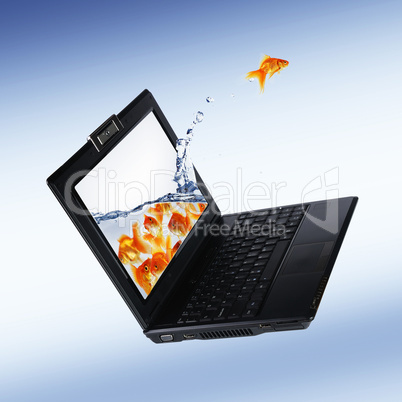 Goldfish and laptop