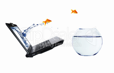 Goldfish and laptop