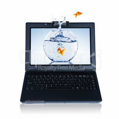 Goldfish and laptop