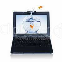 Goldfish and laptop