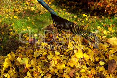 Laub harken - leaves rake 01