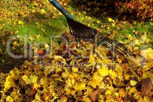 Laub harken - leaves rake 01