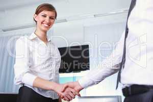 handshake by a business woman