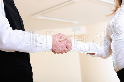 young girl shakes hands