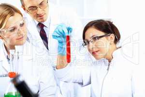 Scientists in laboratory