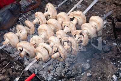 Mushrooms on bbq grill