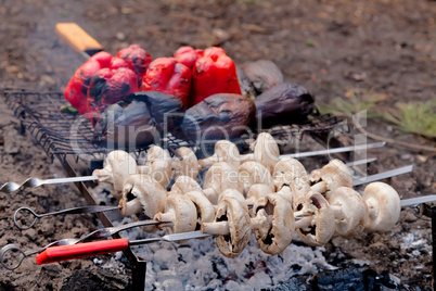 Mushrooms, eggplants and red pepper on bbq grill