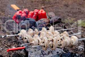 Mushrooms, eggplants and red pepper on bbq grill