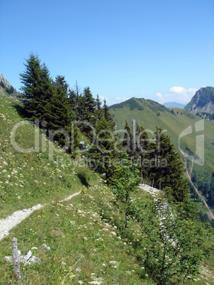 Swiss Alps by summer